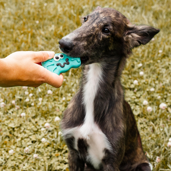 Wufers Halloween Dog Cookie Box