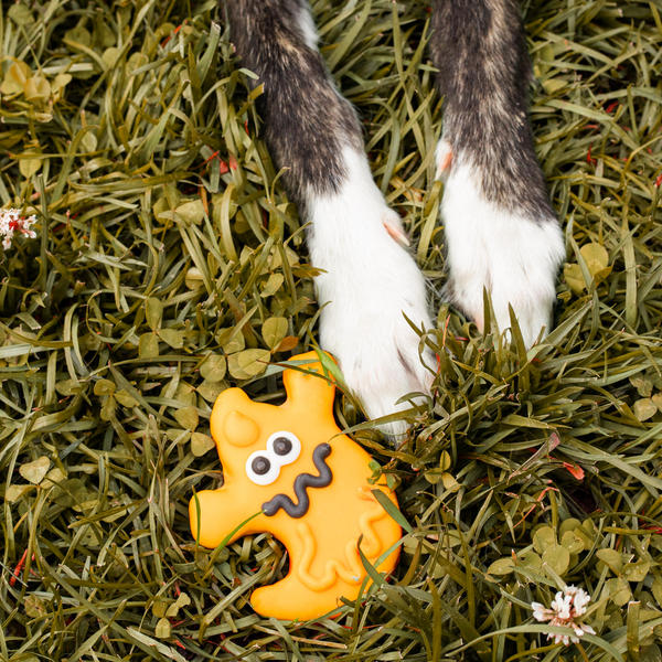 Wufers Halloween Dog Cookie Box