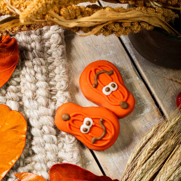 Bunch O' Gourds (7pk)