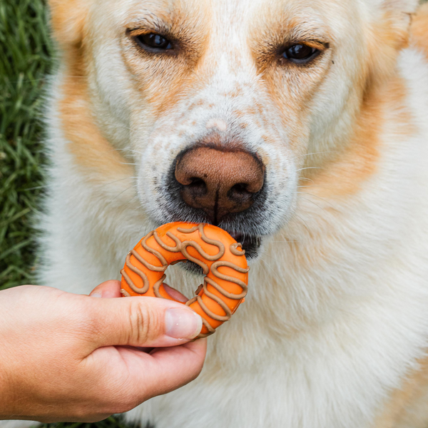 Harvest Moon Donuts (2pk)