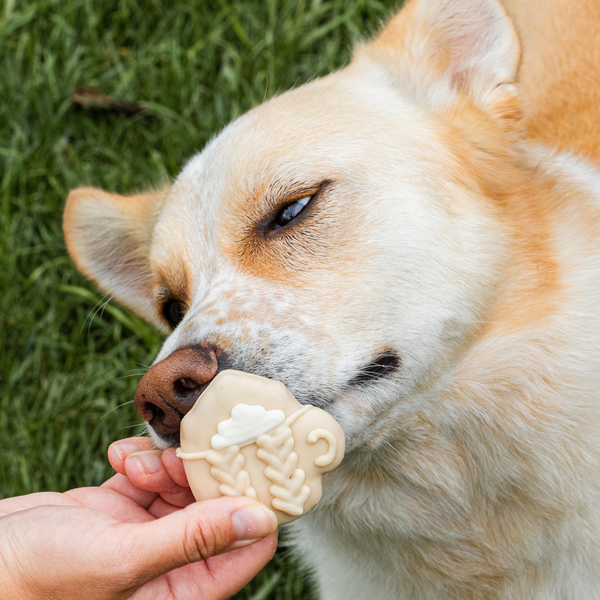 Cream Sweater Sipper