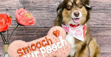 Plan The Perfect Dog Valentine's Day In | At Home Valentine's Day Ideas