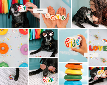 Pawsome Ways To Celebrate Pride As a Pup Owner