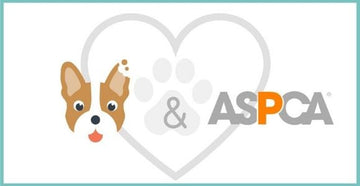 Wüfers Supports the ASPCA | How You Can Help!