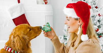 2020 Wüfers Holiday Gift Guide | Christmas Presents for Your Dog