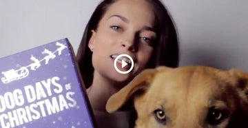 What's Inside: Wüfers Advent Cookie Calendar | Dog Cookie Advent Calendar