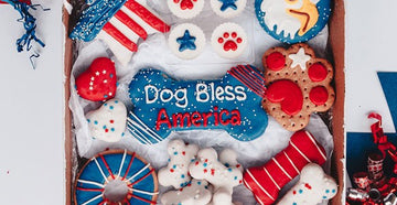 Unboxing: Dog Bless America Cookie Box | Gourmet 4th of July Dog Cookies