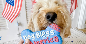 How to Safely Celebrate July 4th with Your Dog | 4th of July Dog Safety