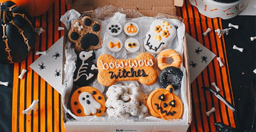 Unboxing: New Halloween Cookie Box 2020 | Wüfers Dog Halloween Cookies