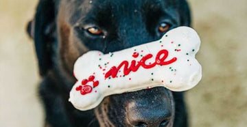 Wüfers Christmas Dog Cookie Photo Gallery | Dog Christmas Treats