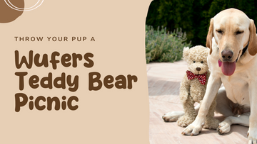 A Guide to Hosting a Wufers Teddy Bear Picnic for Your Pup and Friends!