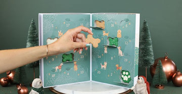 Unboxing Advent Cookie Calendar 2021