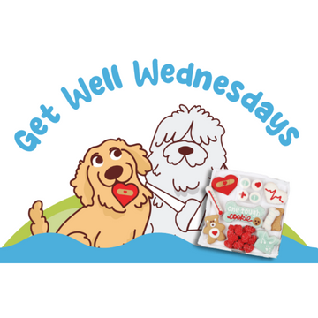Get Well Wednesdays with a Cookie Box for Dogs