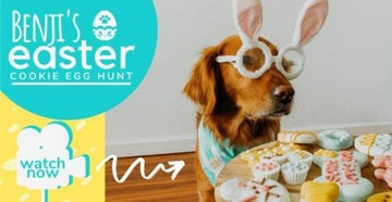 How To Have an Easter Cookie Hunt | Dog Easter Egg Hunt Ideas