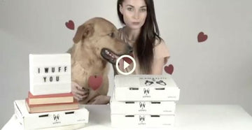 Unboxing: Wüfers Valentine's Collection | Best Valentine's Gifts For Your Dog