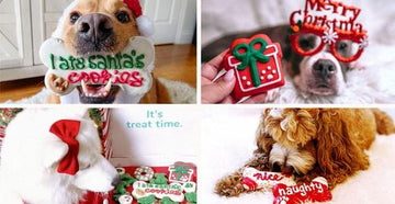 Video: Watch These Dogs Get Into the Holiday Spirit