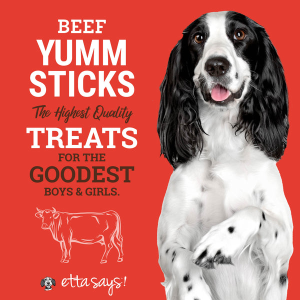 Etta Says! Yumm Sticks Dog Jerky Stick, Beef