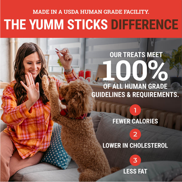 Etta Says! Yumm Sticks Dog Jerky Stick, Beef