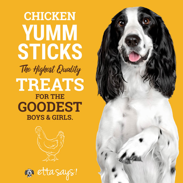 Etta Says! Yumm Sticks Dog Jerky Stick, Chicken