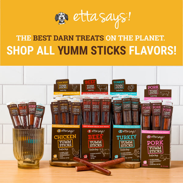 Etta Says! Yumm Sticks Dog Jerky Stick, Chicken