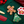 Wufers Christmas Dog Cookie Box
