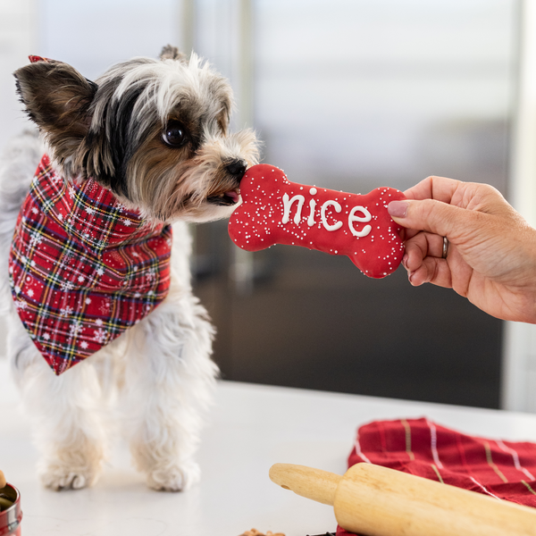 Naughty, Nice, I Tried! 3pk