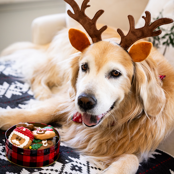Wufers Giftable Santa's Silly Crew Cookie Box (12 pk)