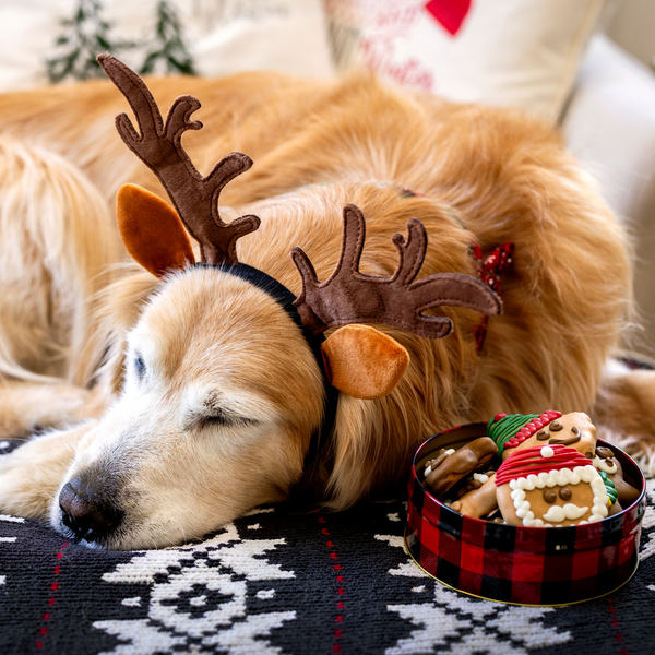 Wufers Giftable Santa's Silly Crew Cookie Box (12 pk)