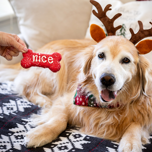 Naughty, Nice, I Tried! 3pk