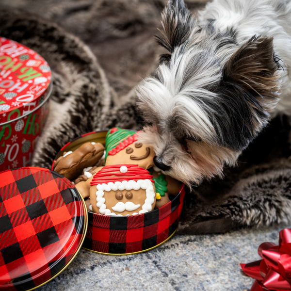Wufers Giftable Santa's Silly Crew Cookie Box (12 pk)