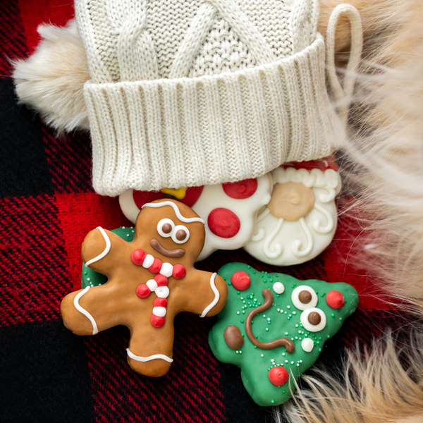 Wufers Christmas Dog Cookie Box