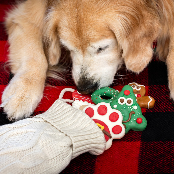 Wufers Christmas Dog Cookie Box