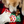 Wufers Christmas Dog Cookie Box