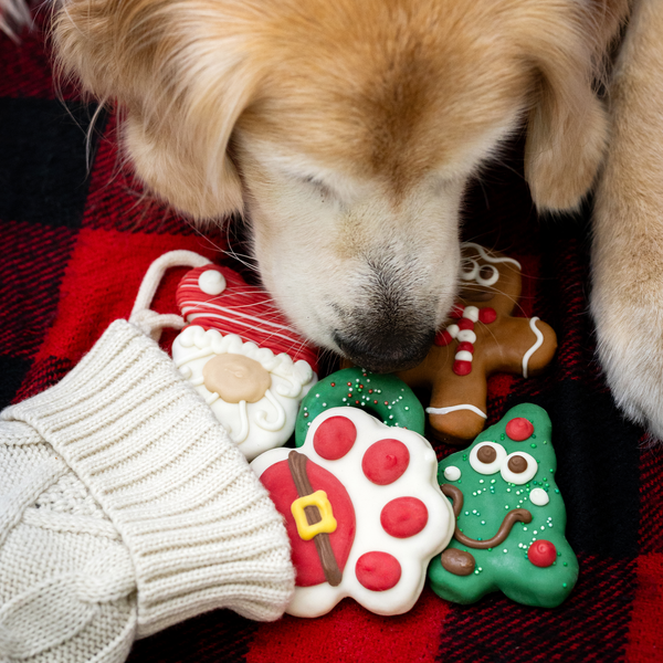 Wufers Christmas Dog Cookie Box