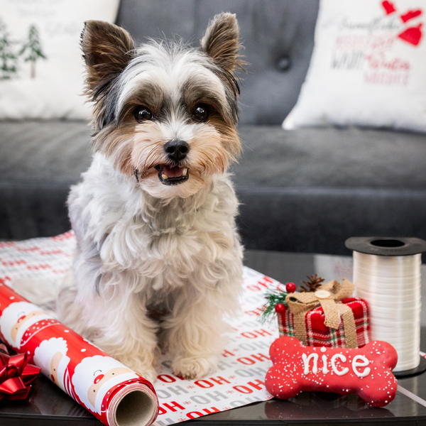 Naughty, Nice, I Tried! 3pk