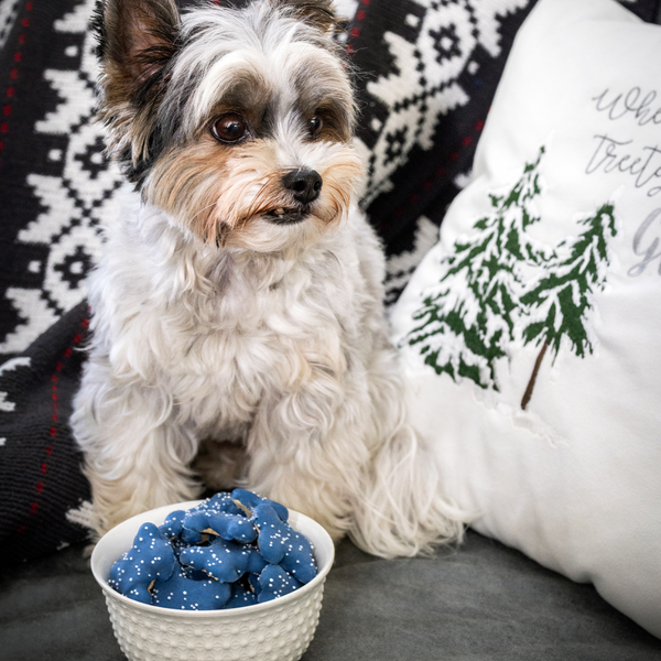 Hanukkah Mini Endless Bones Platter