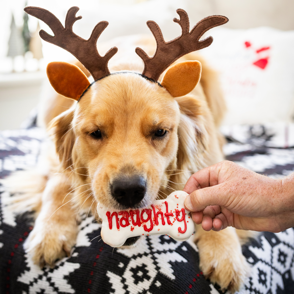 Naughty, Nice, I Tried! 3pk