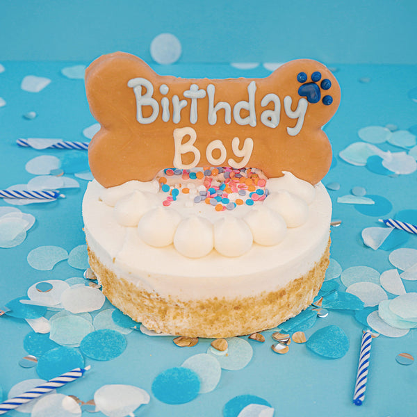 Birthday Boy Dog Cookie Box