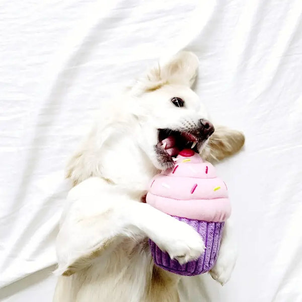 Pink Birthday Cupcake - Dog Toy