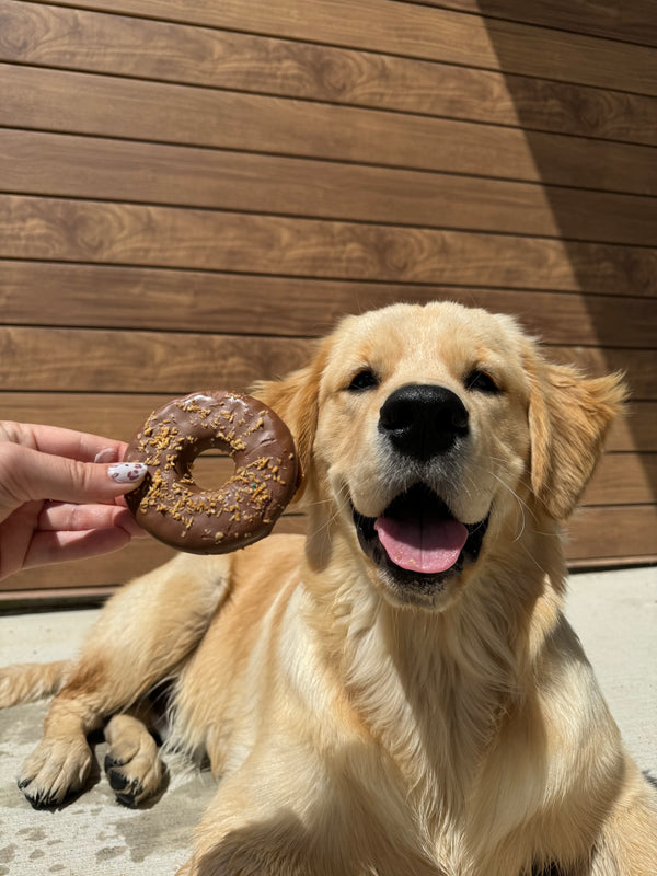 Wufers Doggie Donut Cookie Box