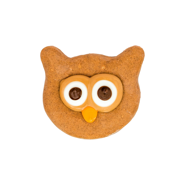 Cinnamon Owl