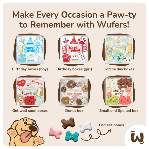 Wufers Birthday Boy Gifts for Dogs Cookie Box