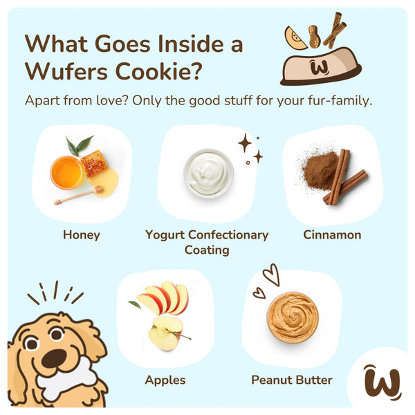 Wufers Birthday Boy Gifts for Dogs Cookie Box