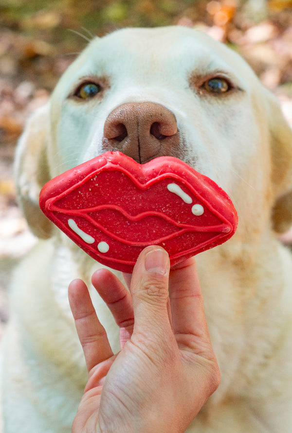 Wufers Selfie Box (6pc)