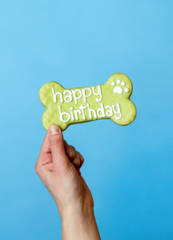 Green Birthday 6" Dog Bone