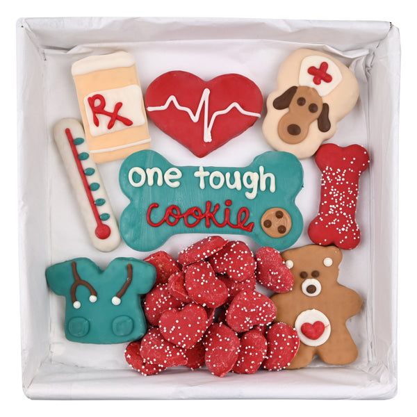 Get Well Soon Gifts for Dogs | Ulti-Mutt Bundle