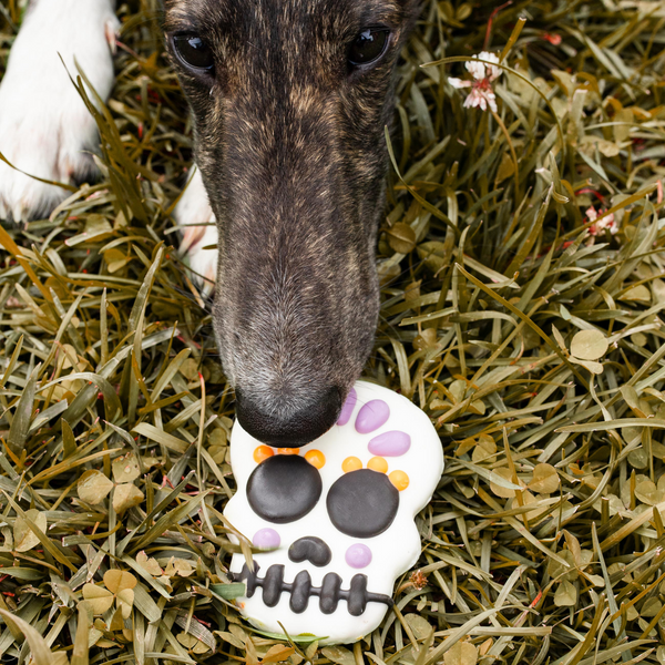 Violet Sorta Sweet, Sorta Spooky Skull