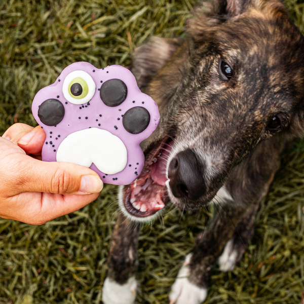 Violet Paw-ssessed Paw-sse