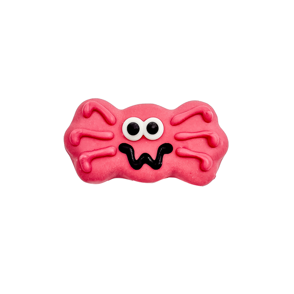 Raspberry No-Fly Zone Spider
