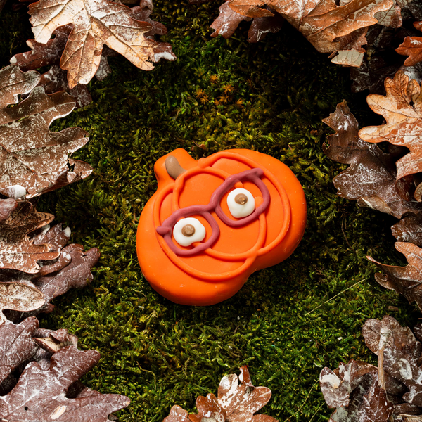 Wufers Fall Dog Cookie Box